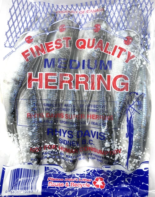 Ray's Bait Rhys Davis Herring