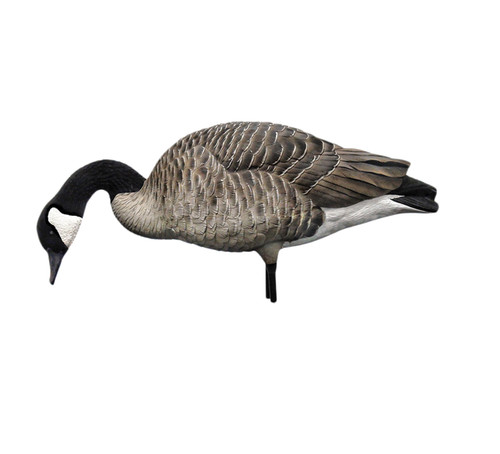 Avian-X AXP Honkers: Fusion Pack (6 Pack)