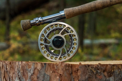  Temple Fork Outfitters Large Arbor Fly Reels Model: TFR 375  Gold : Fly Fishing Reels : Sports & Outdoors