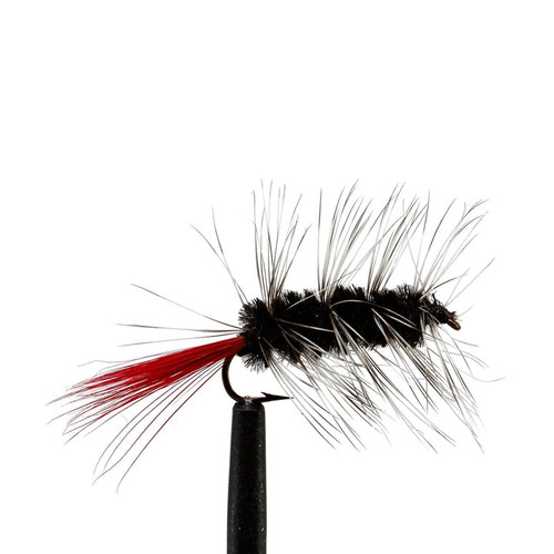 8 Black Cricket Fly - 2 Pk. by Jackson Cardinal Flies at Fleet Farm