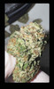 Big M Light Assist FIRE "Indoor" Bud Cannabis Flowers XXX OG (scale)