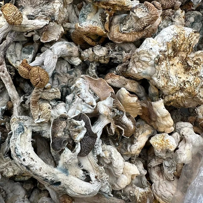 Psilocybin Dried Mushrooms (Trinity) - 1oz