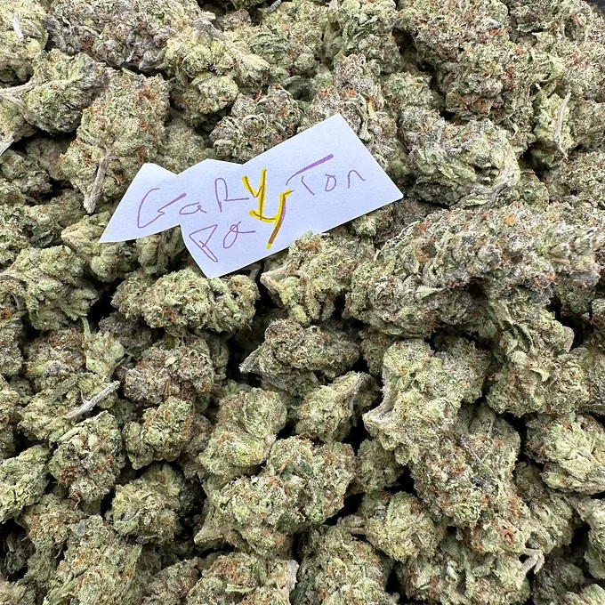 Gary Payton (1oz, 28g)