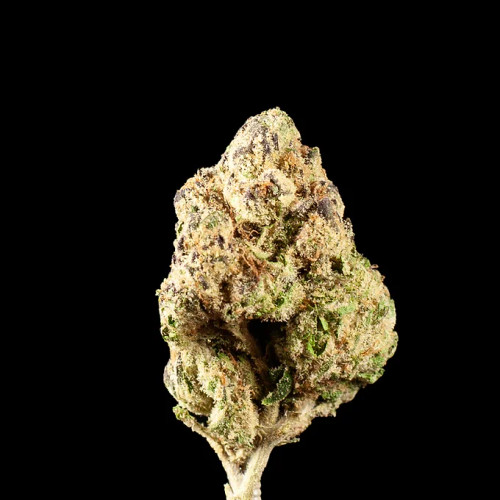 Lemon Cherry Gelato (1oz, 28g)