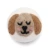 Eco Wool Dryer Balls