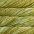 Rasta