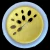 23mm - Dill Button 318632