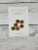 Knit Buttons | 3/4" - Card of 6 Buttons