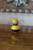 Bumble Bee - Tiny Gourd