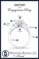 The Anatomy of Rings