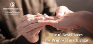 The 16 Best Places for Proposal in Chicago