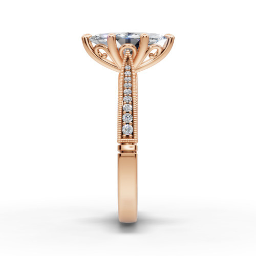 Maeve - Marquise