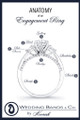 The Anatomy of Rings - Wedding Bands