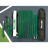 PickleNet Portable Pickleball Net System-New and improved design-Oval posts and improved net support rod. Includes carrying bag.