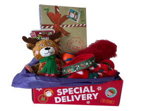 Christmas Toy Box 