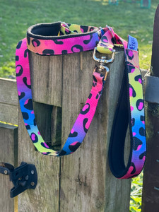 Slip Collar and Lead