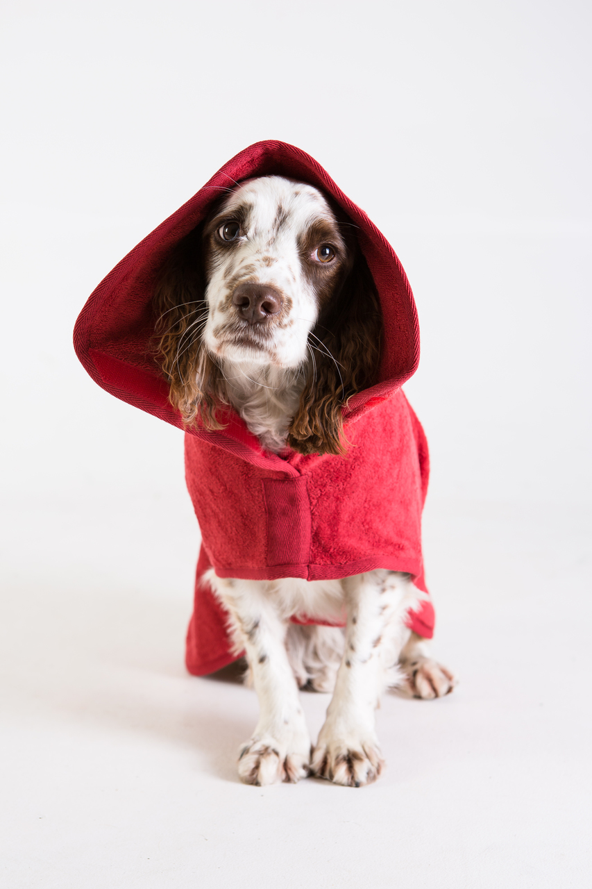 Ruff and Tumble Drying Coats Touchango K9 Ltd