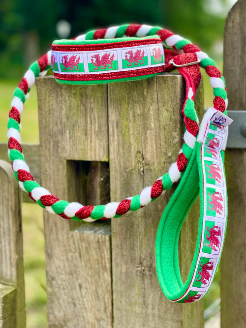 Nationals Sparkle Slip Collar and Plaited Lead sets Touchango K9 Ltd