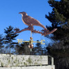Large Crow Weathervane on Oak Branch