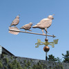 copper quails
