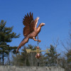 Pheasant Weathervane