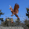 Pheasant Weathervane