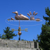 Loon and Chicks Weathervane