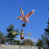 Duck Weathervane