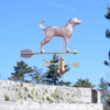 blue tick hound weathervane