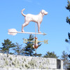 blue tick hound weathervane