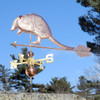 Armadillo Weathervane