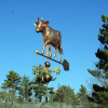 Large Cow with Horns Weathervane front view with blue sky background