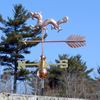 Dragon Wind Vane