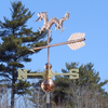 Handmade Dragon Wind Vane