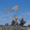 warbler weathervane