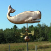 Sperm Whale Weathervane