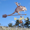 Armadillo and Cowboy Weathervane