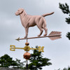 lab weathervane