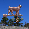 Bobtail Cat Weathervane