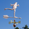 dancing frog weathervane