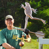 dancing frog weathervane