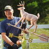 deer weathervane