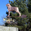Large Boxer Weathervane