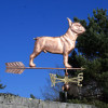 Large French Bulldog Weathervane