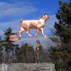 bobtail cat weathervane