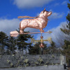 super corgi weathervane