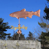 Brook Trout Weathervane