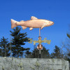 Brook Trout Weathervane