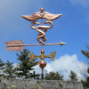 caduceus weathervane