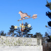 seal weathervane